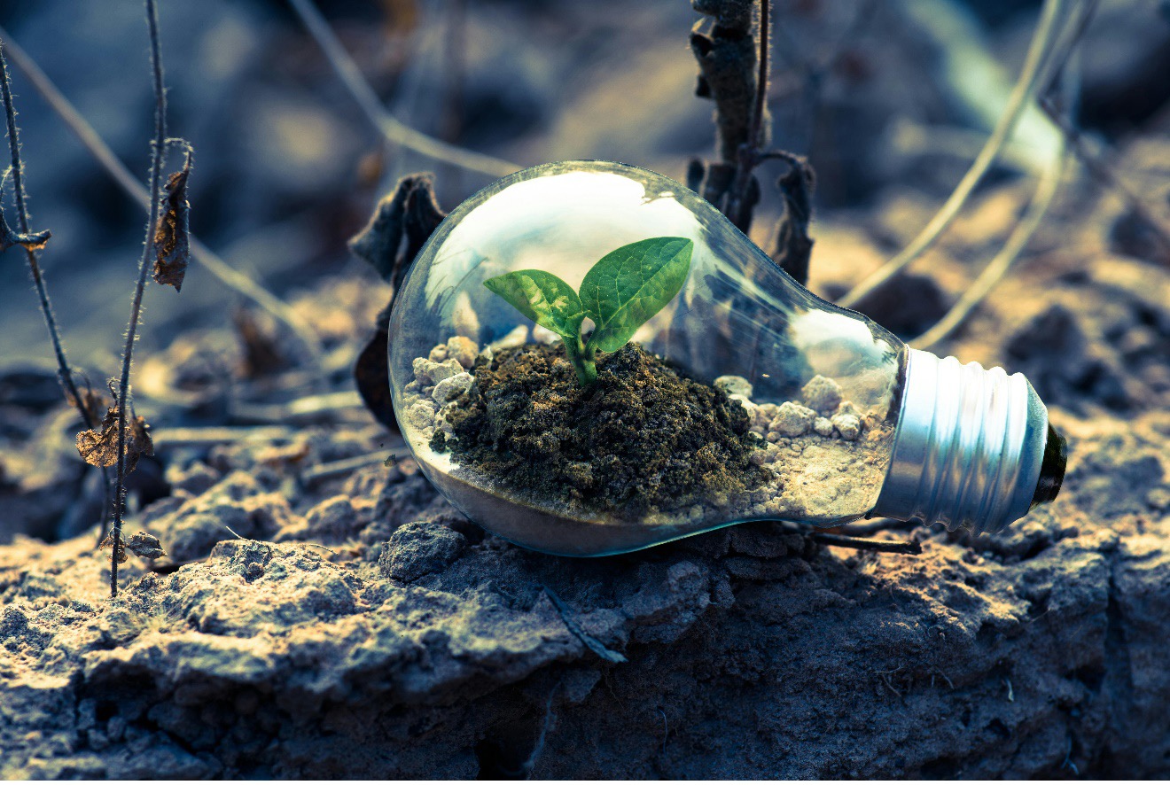 Sustainability