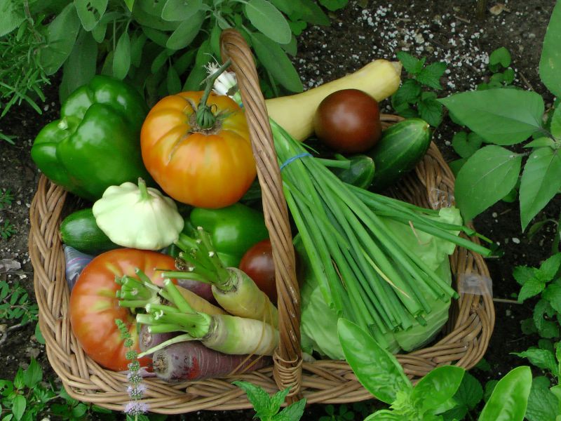 Φωτογραφία από Food waste
